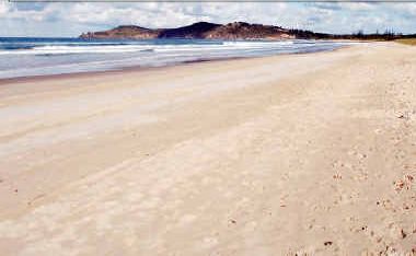 Is this our best beach? Evans Heads' beaches have scored 100% in the State Government's State of the Beaches report, trumping the Ballina and Byron shires, for the fourth year running. Is this our best beach? Evans Heads' beaches have scored 100% in the State Government's State of the Beaches report, trumping the Ballina and Byron shires, for the fourth year running.